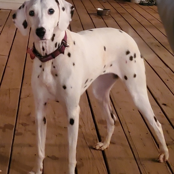 Meet your Posher, Catherine - Picture 1 of 1